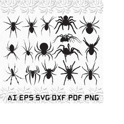 Spider svg, Spiders svg, Spider man svg, man, woman, SVG, ai, pdf, eps, svg, dxf, png