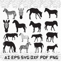 Zebra svg, Zebras svg, animal svg, zoo, animals, SVG, ai, pdf, eps, svg, dxf, png