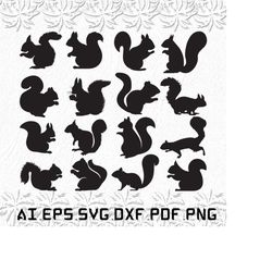 Squirrel svg, Squirrels svg, Animal svg, Animals, Nature, SVG, ai, pdf, eps, svg, dxf, png