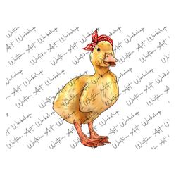 Duckling Sublimation Png, Baby Duck, Bandana Duck Png, Hand Drawing Png, Baby Animal Duck Clipart, Duckling PNG, Waterco