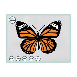 Butterfly SVG | Butterfly SVG File | Layered Butterfly SVG | Butterfly Svg for Cricut | Butterfly Clipart | Monarch Butt