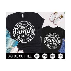 Ain't No Family Like The One I Got SVG, Summer Quote Svg, Family Trip, Summer Vacation Shirt Svg, Png, Svg Files For Cri