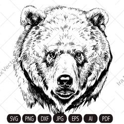 bear head svg, bear clipart, bear face svg, bear, grizzly bear vector illustration , rustic and vintage design, instant