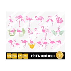 19 Flamingo Svg,  Flamingo Clip Art,  Pink Flamingo, Floral Flamingo Png, Flamingo Cut Files for Cricut and Silhouette,