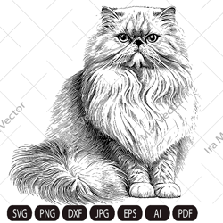 Cat Svg , Cat persian svg, Persian fluffy cat, cute kitten face svg, cute cat face svg, cat faces svg, face svg, cat svg