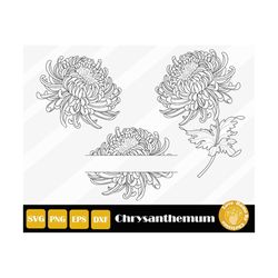 3 Chrysanthemum Svg, Botanical Svg, Wildflower Stencil, Birth Flower Svg, Wildflower Cut Files For Cricut Silhouette, In