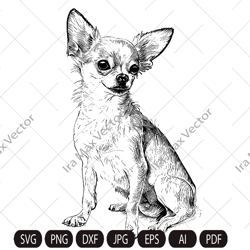 Chihuahua svg, dog svg ClipArt, breed, head, Dog face vector, Memorial love, Download, chihua printable art, shirt svg,