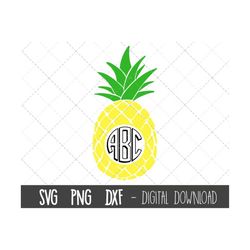 Pineapple SVG, fruit Svg, pineapple monogram svg, pineapple clipart svg, pineapple png, dxf, pineapple cricut silhouette