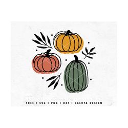 Boho Pumpkin SVG | Fall Pumpkin SVG | Fall Line Art SVG | Autumn Pumpkin svg | Libbey Can wrap svg | Gourd free svg Cric