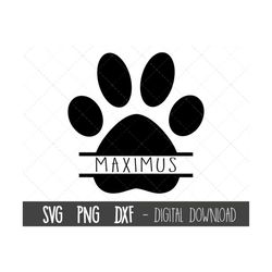 Dog Paw Print SVG, paw print split name frame svg, Paw Svg, Animal Paw print Svg, paw clipart svg, png, dxf, cricut silh