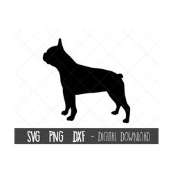 Boston Terrier svg, dog svg, Boston Terrier silhouette, Terrier outline png, Terrier clipart, dog pet png, dxf, cricut s
