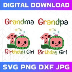 Cocomelon Grandma and Grandpa Of Birthday Girl svg, Coco Melon svg, Cocomelon Bundle svg, Cocomelon Birthday svg