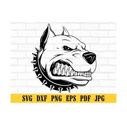 Pitbull Svg Cut File Angry Pitbull Svg Png Head Pitbull Svg Design Vector Printable Cut File digital download