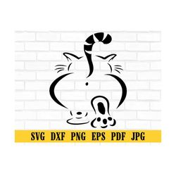 Cat Walk svg, Cat SVG , Cat Paw SVG , Kitten SVG , Cat Silhouette, Cat Cricut Png Dxf Eps Jpg, Cat Tail svg