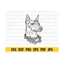 Doberman svg, Dog SVG Files for Cricut, Doberman Pinscher vector, Download funny pet face clipart, head portrait, Printa