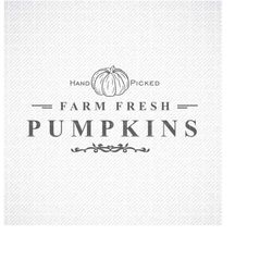 Pumpkin SVG File, Fall SVG File, Autumn SVG File, Farmhouse Svg, Pumpkin Svg, Cricut, Silhouette, Cutting Files, Digital