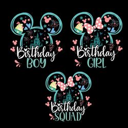 Disney Birthday Shirt, Disney Birthday Squad T-shirt, Disney Birthday Girl Shirt, Disney Birthday Boy Shirt