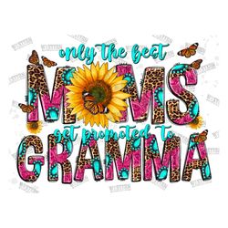 Only The Best Moms Get Promoted To Gramma PNG, New Gramma PNG, Mother's Day, Digital Download,Pregnancy Png,Sublimation