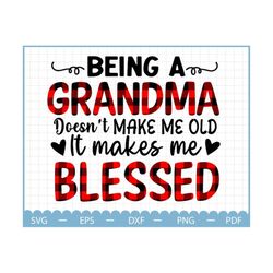 Being A Grandma Doesn't Make Me Old svg, Mother's day gift svg, grandma gift svg, gift for Grandma svg, gift for mom svg