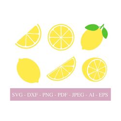 Lemon SVG Files For Cricut, Fruit PNG , Silhouette, Lemon Layered Slice Svg, DXF Cut File, Summer Clipart, Pdf.