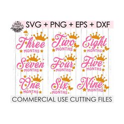 Princess Age Months SVG Cutting File / Baby Months SVG Cutting File / Months Girl Age Svg Cut File / Baby Age Princess S