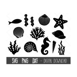 Ocean animals SVG, Under the sea DXF, Seahorse svg, Ocean clipart, Sea creatures, Seashell  svg, seaweed svg, cricut sil