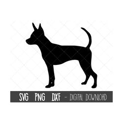 Russian Toy Terrier svg, dog svg, toy terrier silhouette, terrier outline png, terrier clipart, dog pet png, dxf, cricut