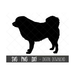 Tibetan Mastiff svg, dog svg, Tibetan Mastiff silhouette, mastiff outline png, mastiff clipart, dog pet png, cricut silh