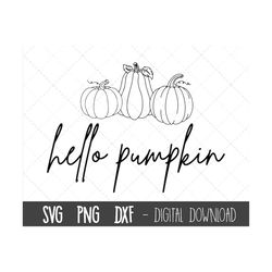 Hello Pumpkin SVG, Hello Fall Svg, Happy Thanksgiving Svg, Pumpkin Svg, Fall Svg, Autumn Svg, Pumpkin Shirt SVG, pumpkin