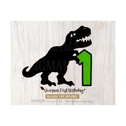 Dinosaur First Birthday SVG,1st,One,T-rex,Number,Boy,Tshirt,Dino,Baby,Cut File,Cricut,PNG,DXF,Silhouette,Clipart,Instant