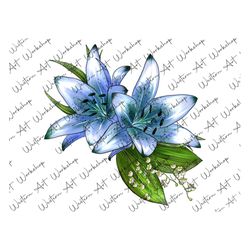 Blue Lily Sublimation Png, Lily watercolor Illustration Digital Download, Flower Bouquet Digital Download, Flower Bouque
