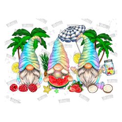 Summer Gnome PNG, Sublimation Designs, Gnome PNG, Summer Vibes, Summer Time, Summer png, Beach, Gnome Beach, Sublimation