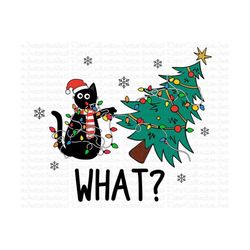 What Christmas Png, Merry Christmas Png, Jingle Png, What, Christmas Cat, Cat Png, Christmas Vibes Png, Christmas Tree P