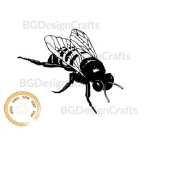 Bee SVG, Bee DXF, Bee Clipart, Bee svg cut file, Bee cut file, Bee png, Bee svg file for cricut, Bee silhouette
