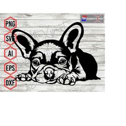 Cute French Bulldog svg, Peeking Dog svg, Dog svg, Pet svg, Puppies svg - Cricut, CNC, Laser, Vinyl Cutter, Decal Sticke