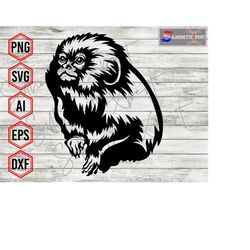 Pygmy Marmoset svg, Monkey svg,  Smallest Monkey svg, Animal svg - Clipart, Cricut, CNC, Vinyl Cutter, Decal Sticker, T-