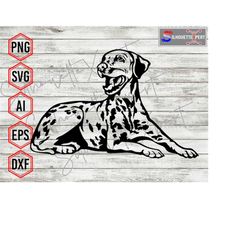 Dalmatian Dog svg, Sitting Dalmatian svg, Pet svg, Dog svg - Cricut, CNC, Laser, Vinyl Cutter, Decal Sticker, T-Shirt Fi