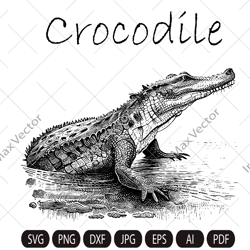 Crocodile SVG, Alligator Svg, Crocodile Clipart, Crocodile detaled,Crocodile Cut Files, Crocodile head svg, Crocodile fa