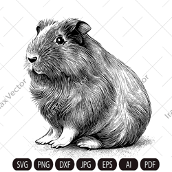 Guinea pig svg, guinea pig detailed, guinea pig cut file, guinea pigclipart, guinea pig poster, Pet svg, Home animals ve