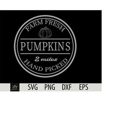 Farm Fresh Pumpkins SVG, Farm Fresh Sign SVG, Farm Fresh SVG, Fall Svg, Autumn Svg, Pumpkin Svg, Farm Fresh Pumpkins, Si