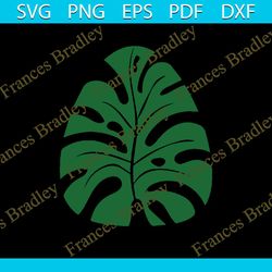 Tropical leaves png, monstera leaf svg clipart, commercial use png, jungle leaves png clipart, palm branch png