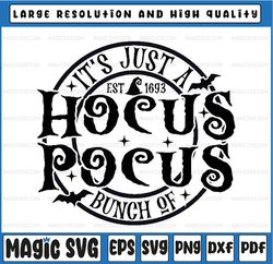 It's Just A Bunch of Hoc-us P-oc-us Svg,  Hoc-us P-oc-us Est.1963 Witch Svg, Happy Halloween Png, Digital Download