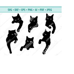 Cat SVG, Black cat svg, Peeking cat clipart, Peeping cat SVG, Halloween cat svg, cricut silhouette, Cat clipart Cut Cutt
