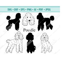 Poodle SVG - Standard Poodle SVG - Dogs SVG - Digital Cutting File - Vector Cut - Cricut Cut - Instant Download - Svg, D