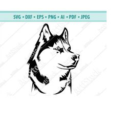 Husky SVG , Dog SVG, Cut File, Use with Silhouette Studio, Design Edition, Cricut Design , Silhouette, cricut , vinyl, s