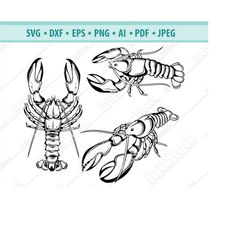Lobster Svg, Beach Svg, Shell Fish Silhouettes, Sea Animals Svg, Lobster  Clipart Svg, Ocean Svg, Files for Cricut, Vect