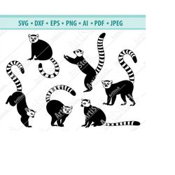 Lemur Svg, Madagascar Animal Svg, Zoo Svg, Lemur Clipart, Lemur Files for Cricut, Lemur Cut Files, Exotic Pet Svg, Prima