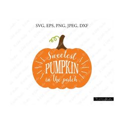 Fall Pumpkin SVG, Pumpkin Svg, Halloween Svg, Pumpkin Clipart, Thanksgiving SVG, Cricut, Silhouette Cut Files