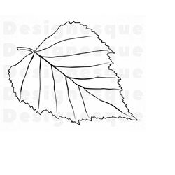Birch Leaf Outline SVG, Birch Tree Leaf Svg, Birch Leaf Clipart, Birch Leaf Files for Cricut, Leaf Cut Files For Silhoue