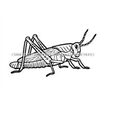Grasshopper SVG, Grasshopper Clipart, Grasshopper Files for Cricut, Grasshopper Cut Files For Silhouette, Png, Dxf